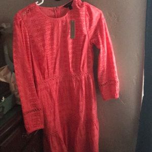 Jcrew Dress